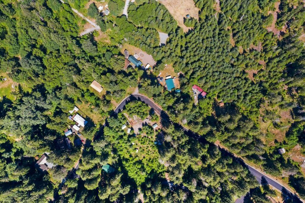 New Tiny Home Steps Away From Mt. Rainier Ashford Exterior photo